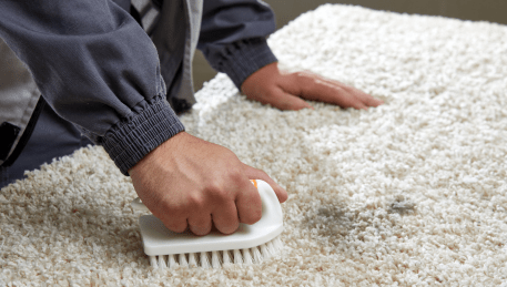 Professional Rug Cleaning Diamond Creek