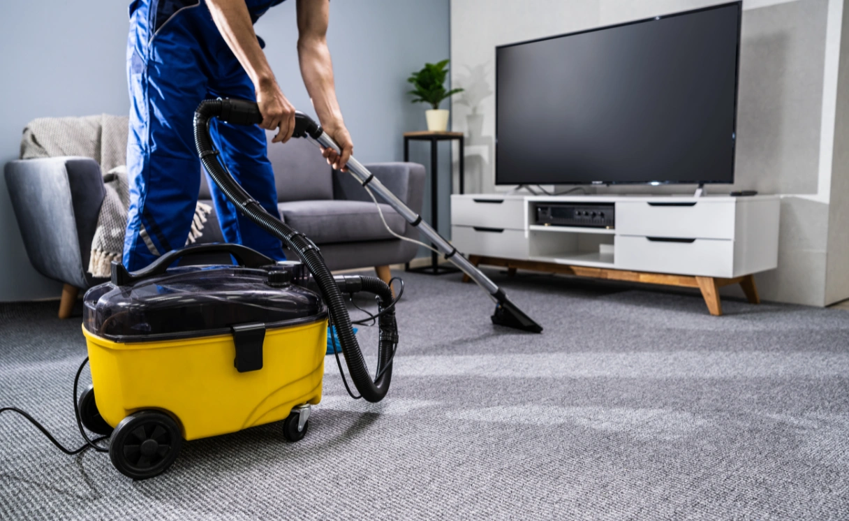 Extract Rug Cleaning Diamond Creek Contact Office